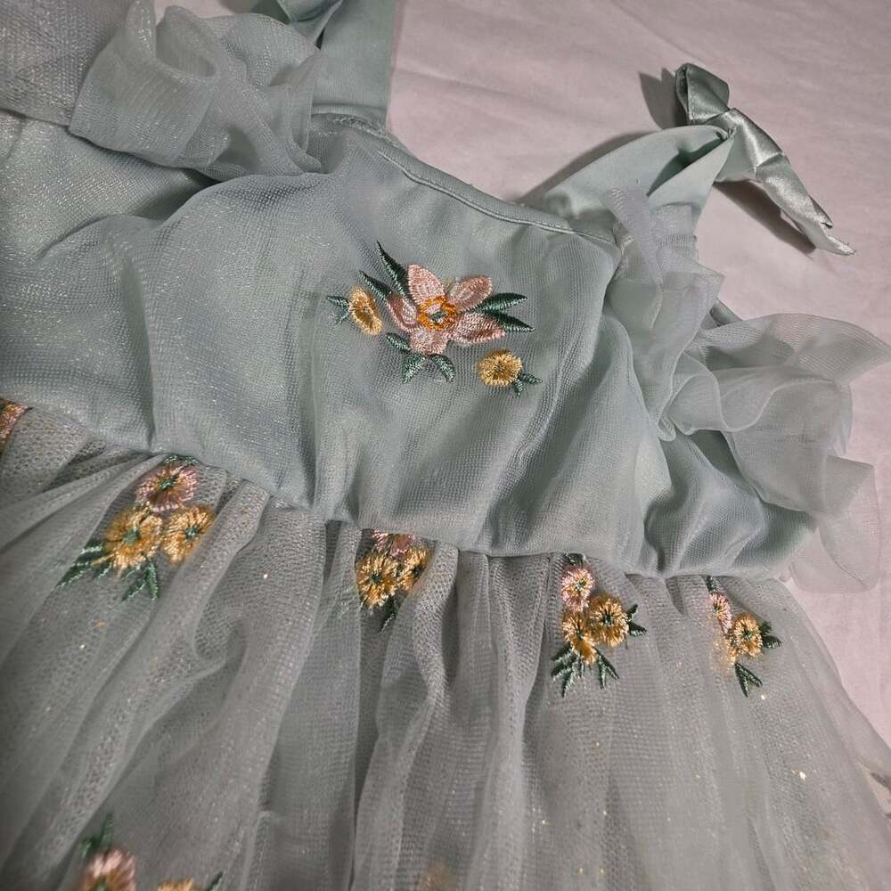 Audrey Camille Dress Size 3T Mint Green Floral Tulle